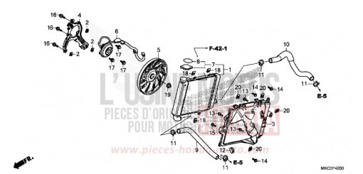 RADIATEUR (D.) GL1800DAK de 2019